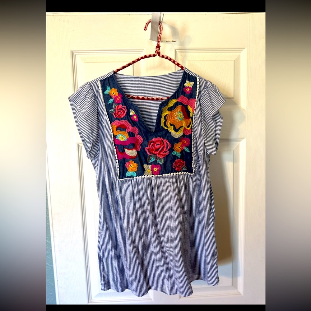 Savanna Jane Blue Striped Tunic with Multicolor Floral Embroidery